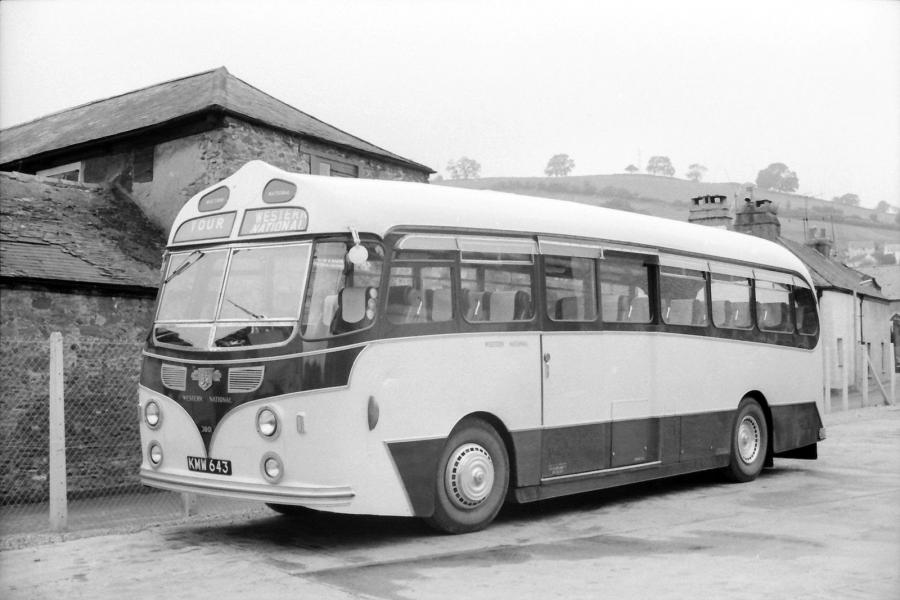  Leyland Tiger Cub PSUC1/2 Harrington Tail Fin (C41C) 1954 года  (фото 1 из 2)
